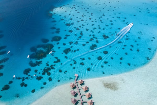 Bora Bora Shallows