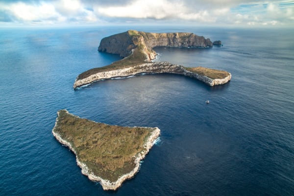 Wolf Island