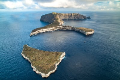 Wolf Island