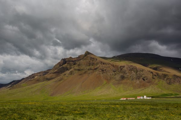 Icelandic Farm
