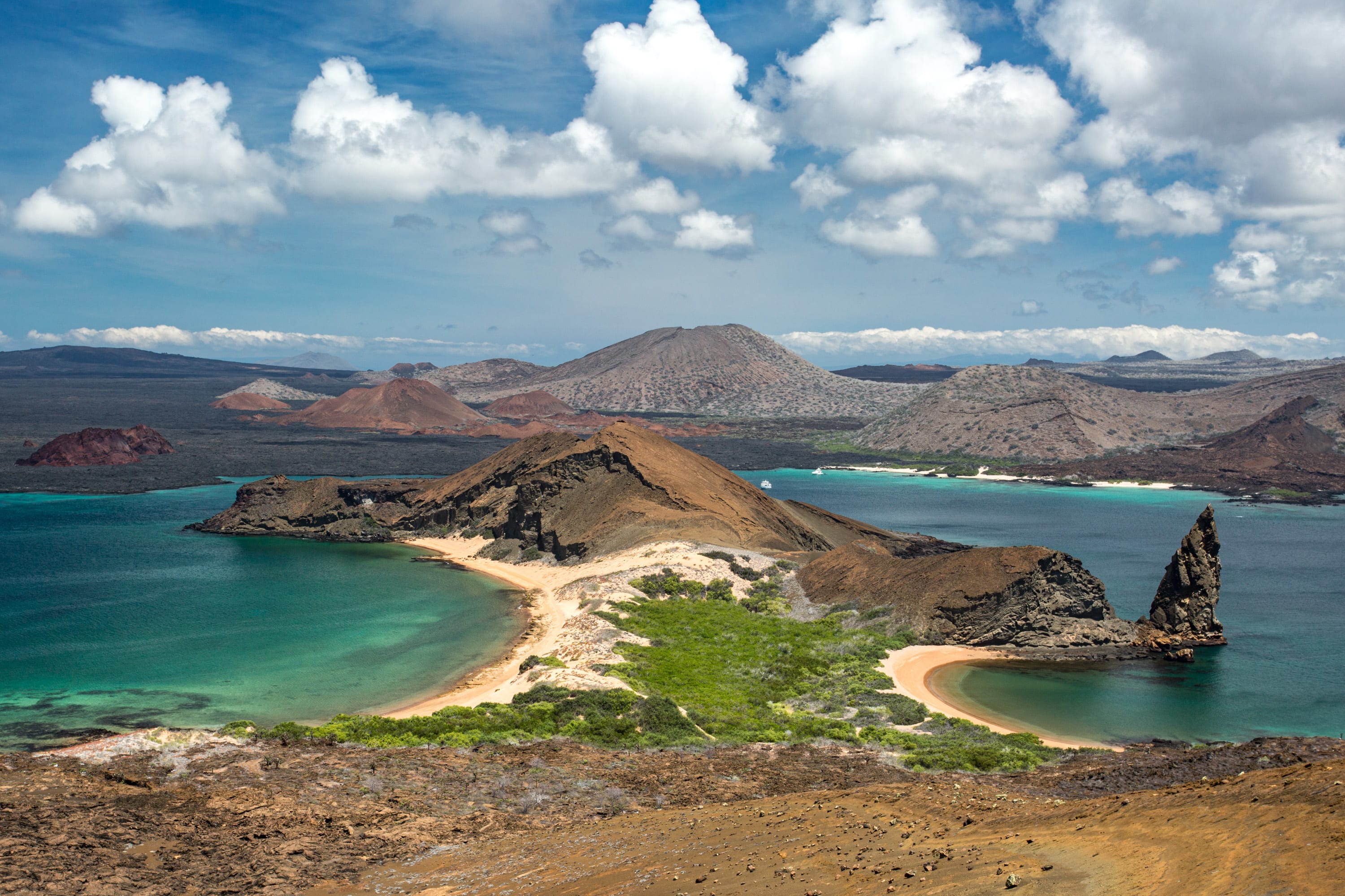Bartolome Island