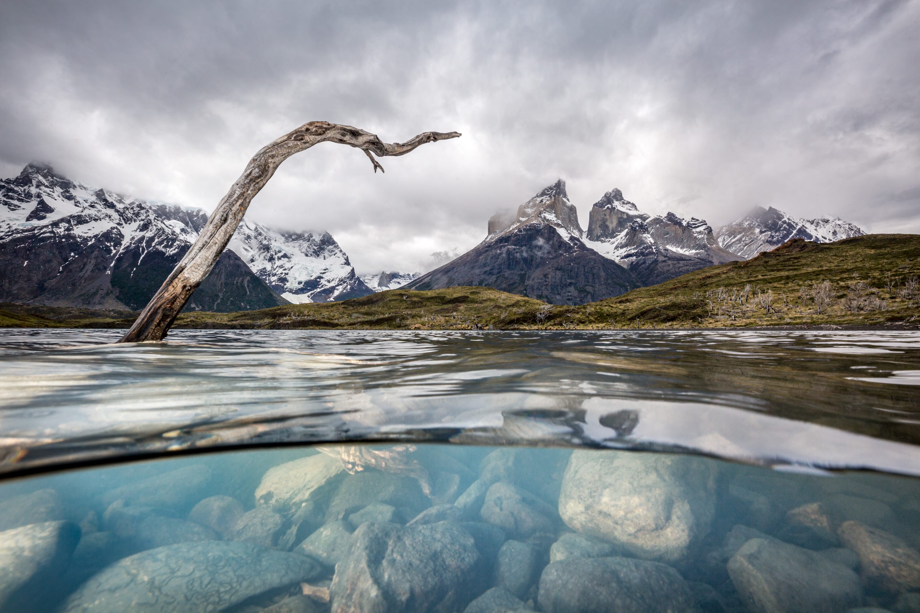 Cuernos