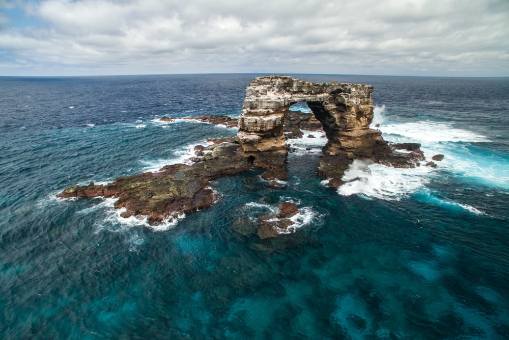 Darwin's Arch