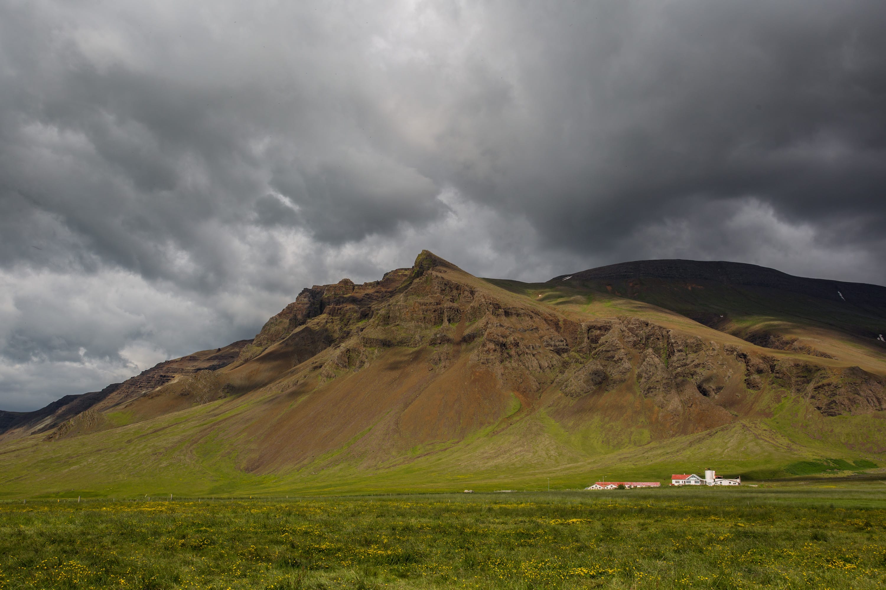 Icelandic Farm