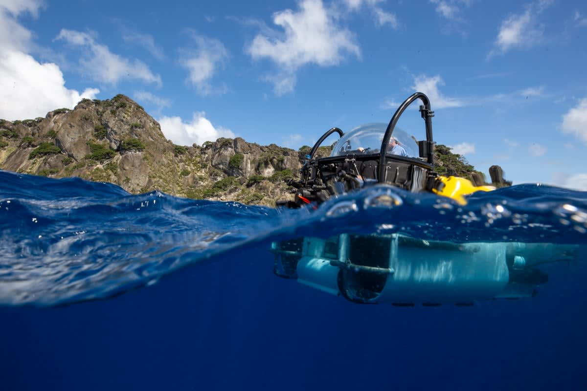 DeepSee Submersible