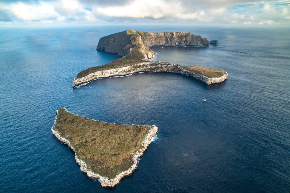 Wolf Island