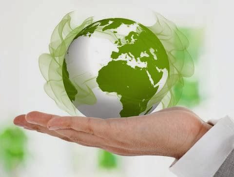 MMN Syndicate Office Company Limited