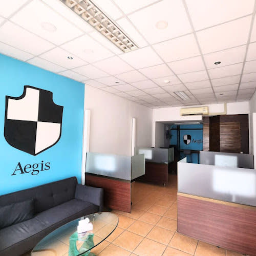Aegis Consultants Co., Ltd.