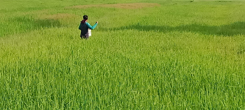 Xian Kadee Law Office