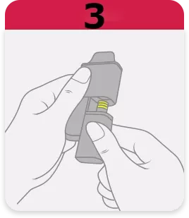 3.webp