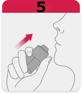 5.webp