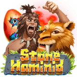Stone Hamid