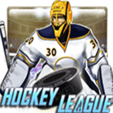 Hockey league