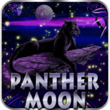Panther Moon
