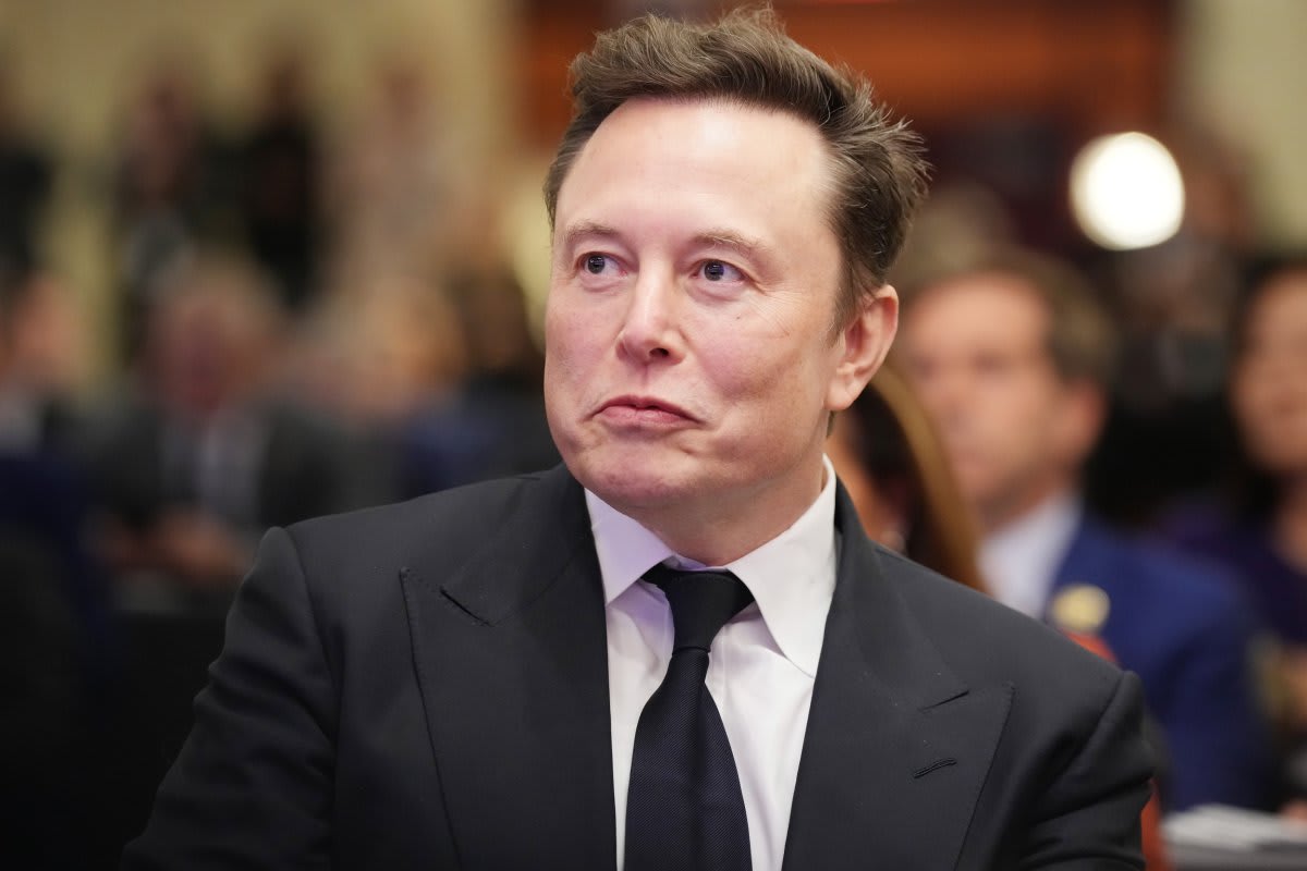 DOGE and Musk's plan: Who is running this mission?