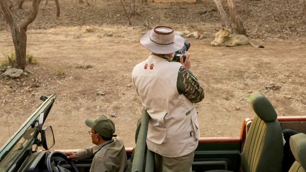 PM Modi’s Thrilling Gir Safari: Face-to-Face with a Majestic Lion Herd – What Happened Next?