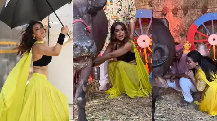 Nia Sharma Milks Buffalo in 'Laughter Chefs 2', Internet Says: “We Lived to See This!”