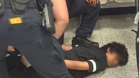 US Defends Handcuffing Indian Student, Calls It Lawful Deportation