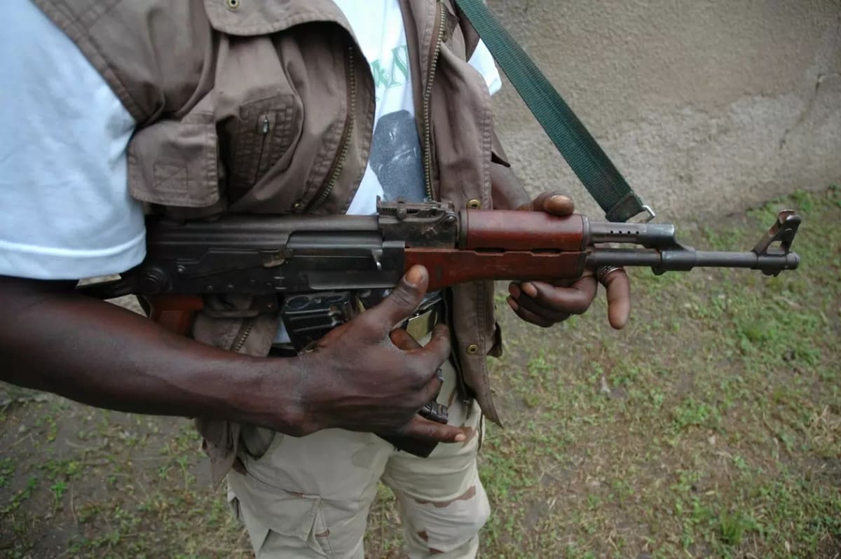 Gunmen kill at least 30 in Niger State village attack in northern Nigeria