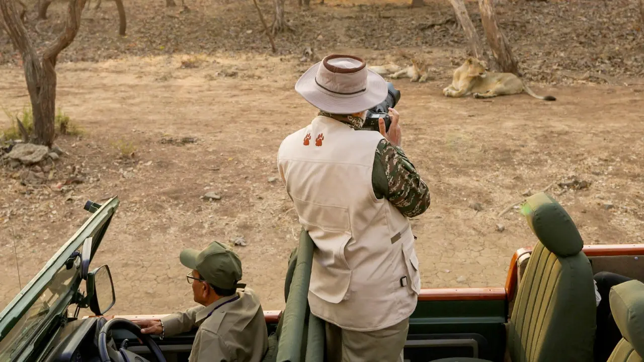 PM Modi’s Thrilling Gir Safari: Face-to-Face with a Majestic Lion Herd – What Happened Next?