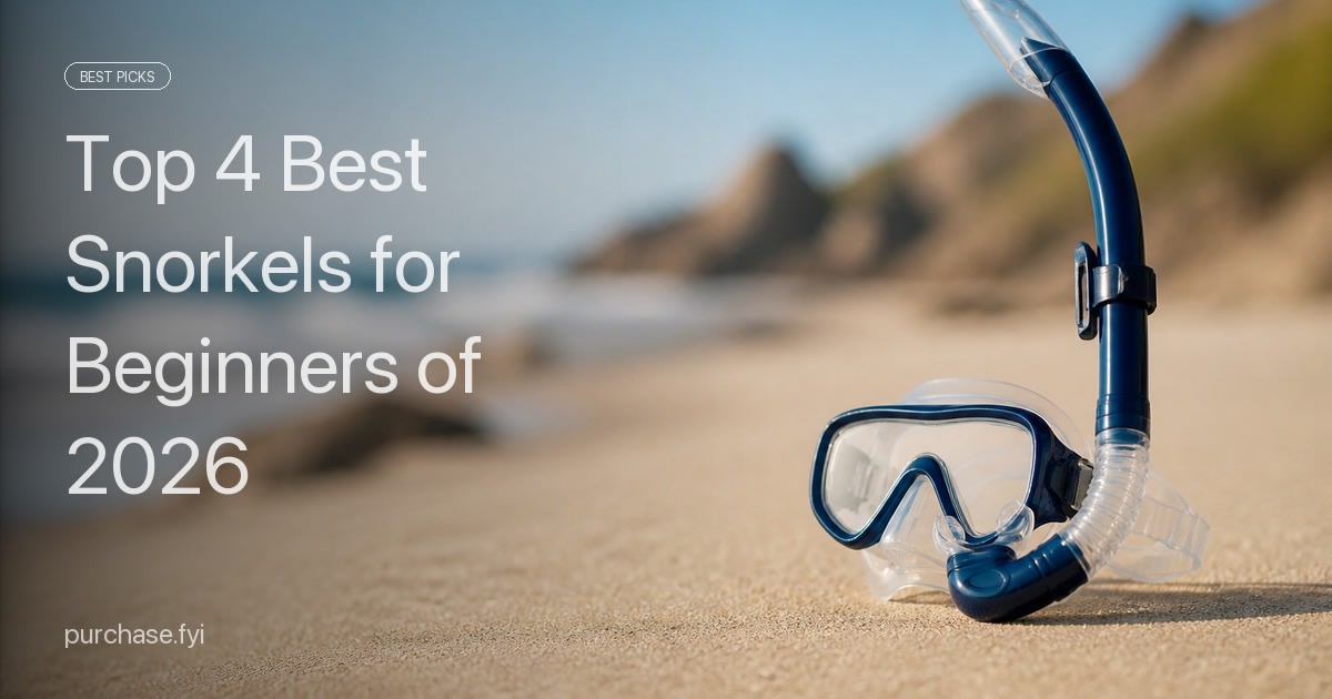 Top 4 Best Snorkels for Beginners of 2026