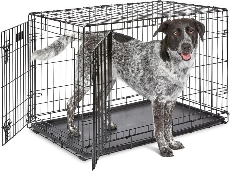 MidWest iCrate Double Door Folding Dog Crate