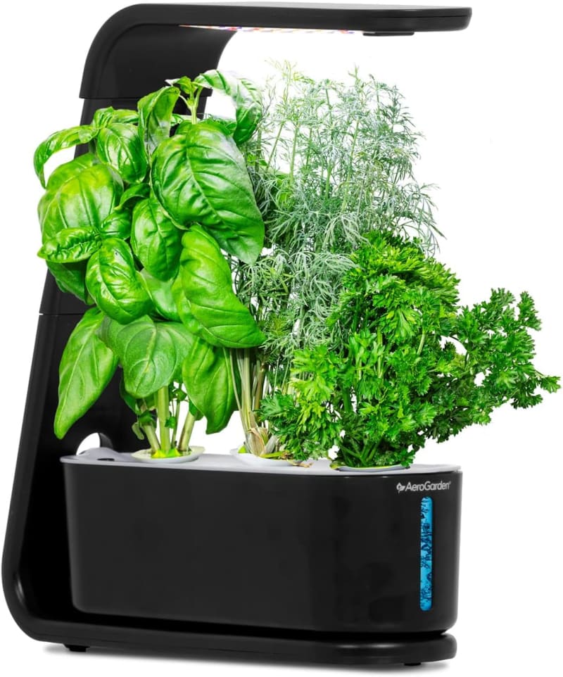 AeroGarden Sprout, 3-Pod Indoor Garden with LED Grow Light