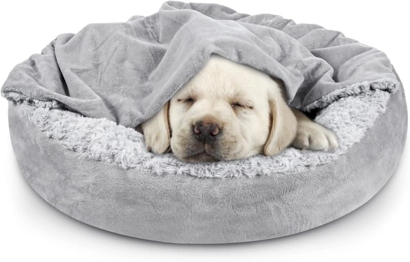JOEJOY Cozy Donut Dog Bed