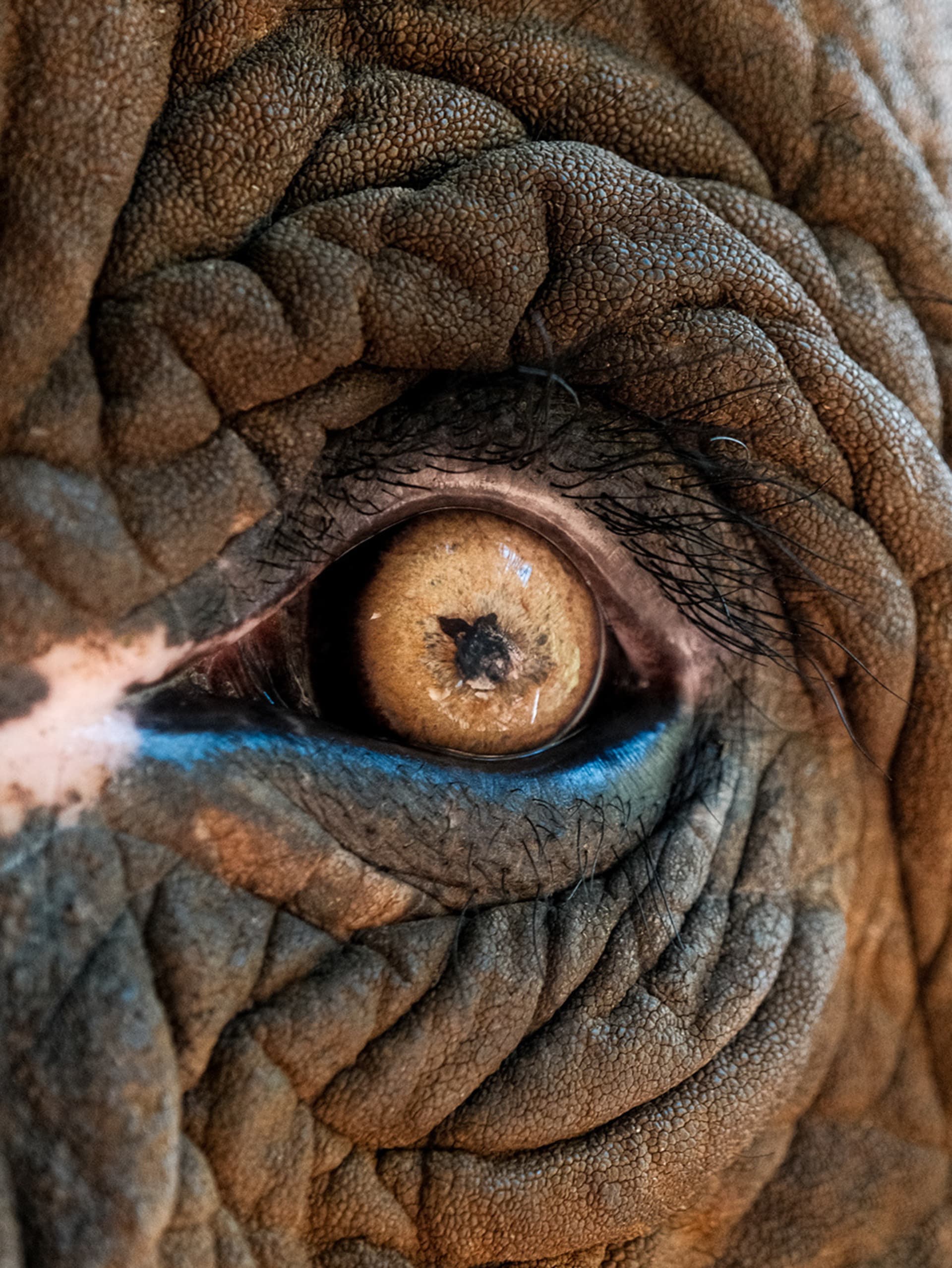 Angkor temple — Cambodia travel photography by Jerome Franceschi