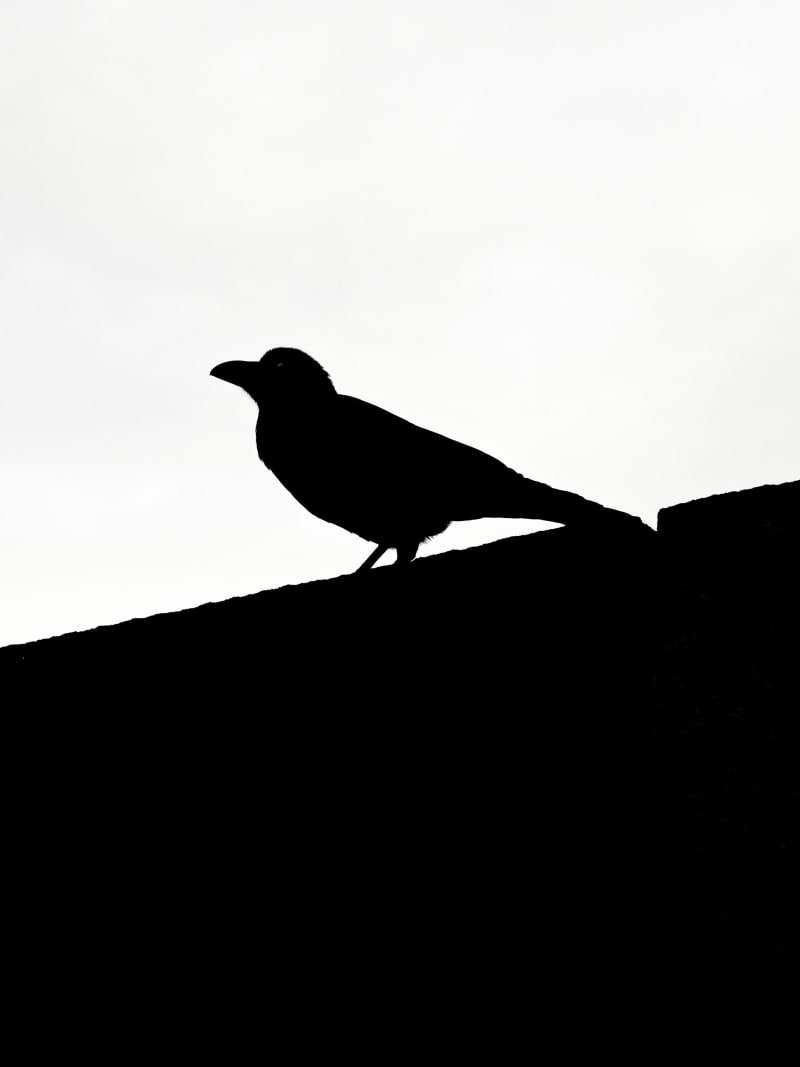 Black and white Asia travel photography — 11