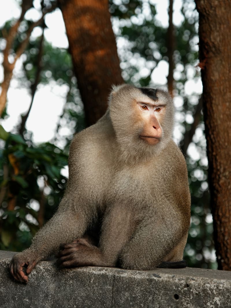 East Cambodia — Cambodia travel photography — 18