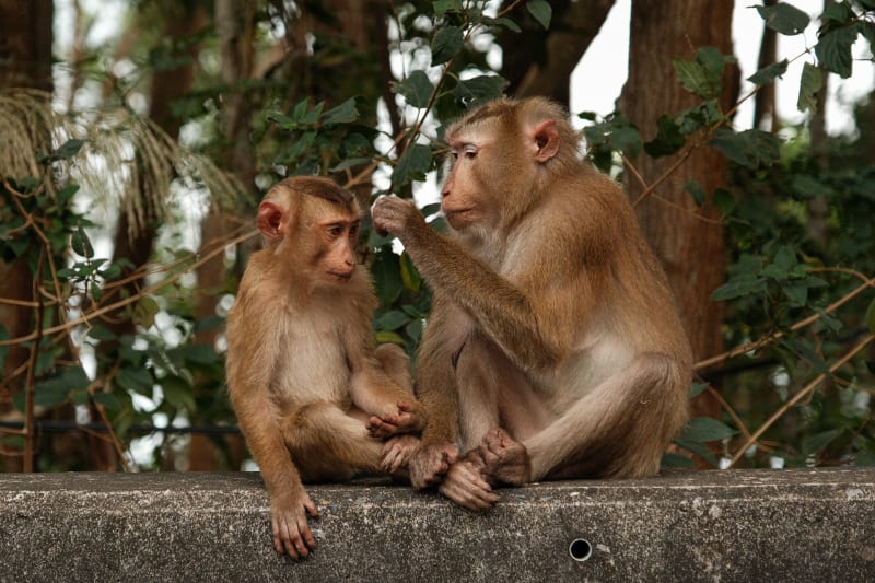 East Cambodia — Cambodia travel photography — 19