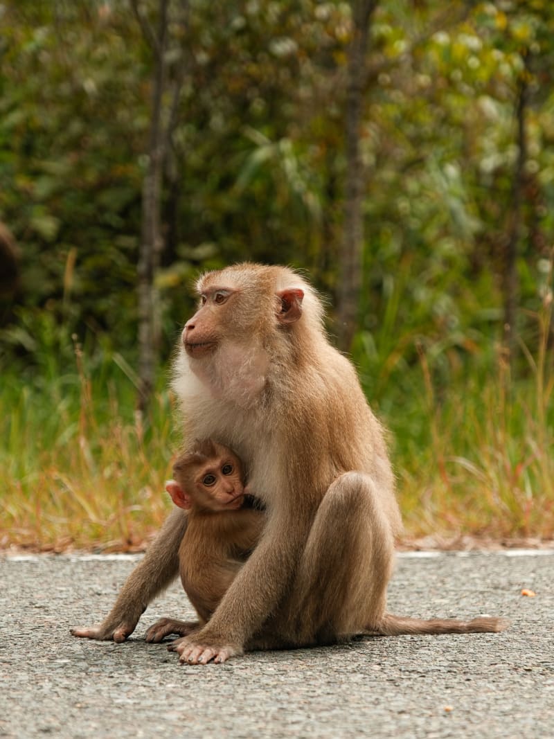 East Cambodia — Cambodia travel photography — 20