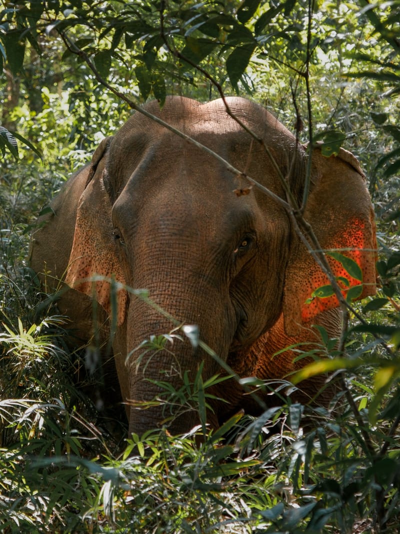 East Cambodia — Cambodia travel photography — 26
