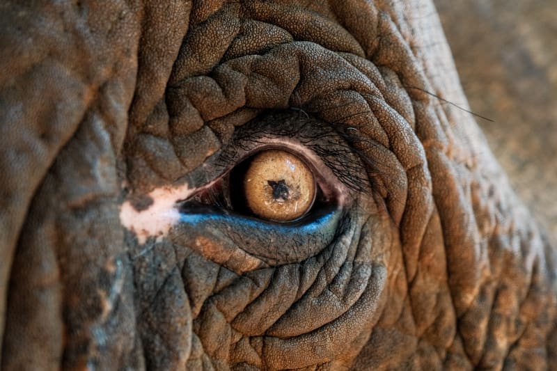 East Cambodia — Cambodia travel photography — 27