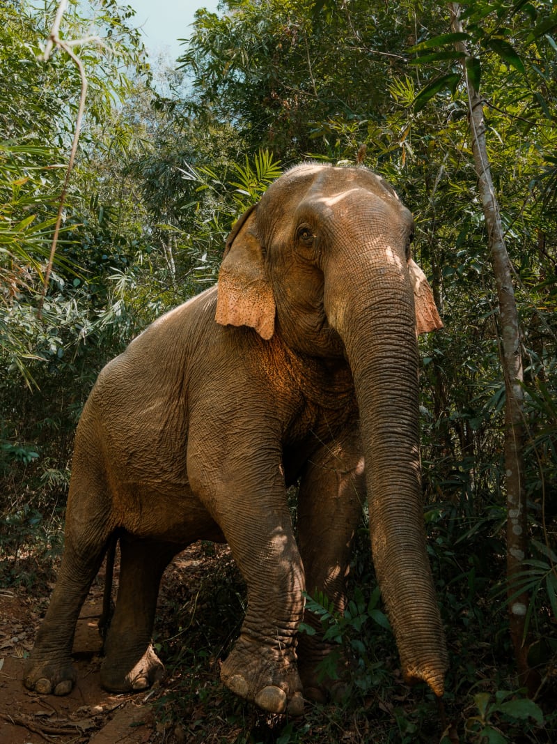 East Cambodia — Cambodia travel photography — 28