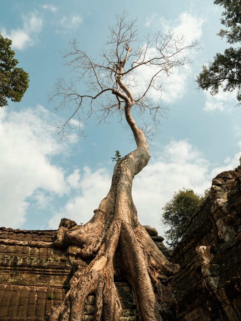 West Cambodia — Cambodia travel photography — 18