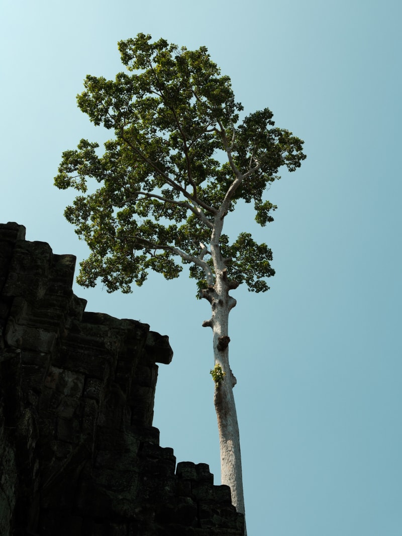 West Cambodia — Cambodia travel photography — 21