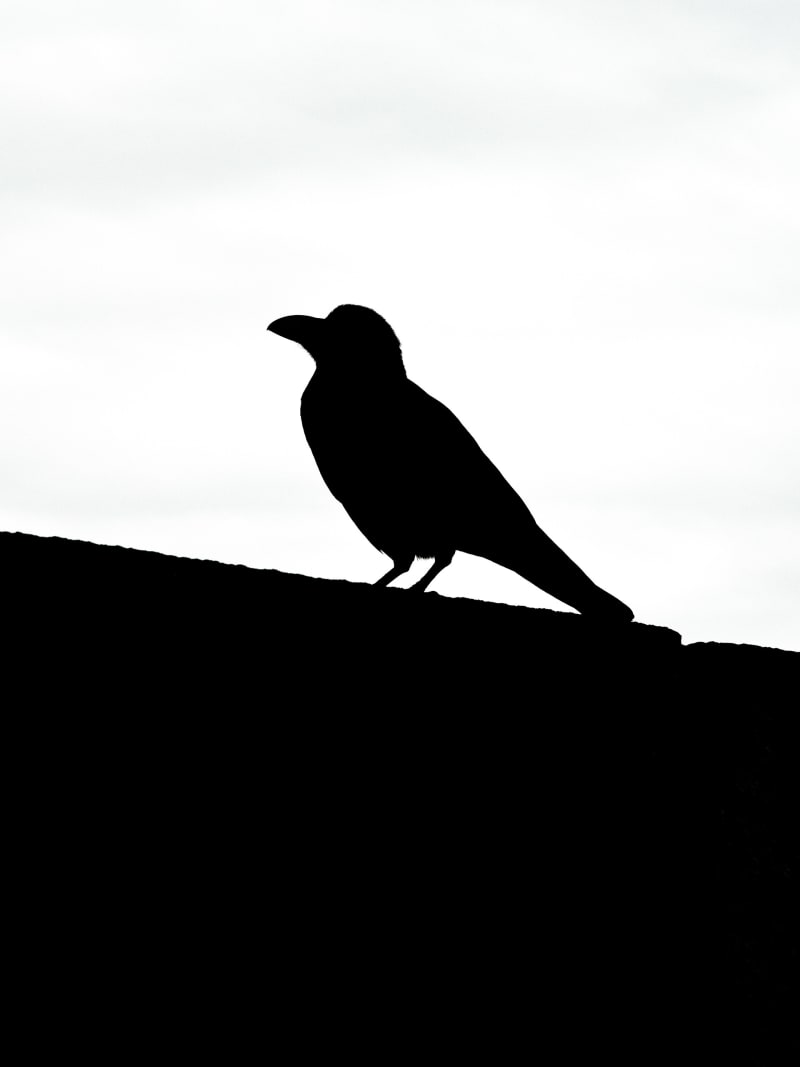 Tokyo — Japan travel photography — 3