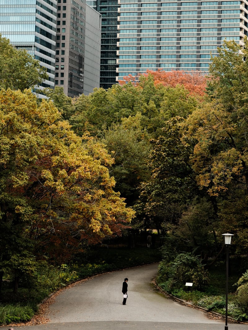 Tokyo — Japan travel photography — 17