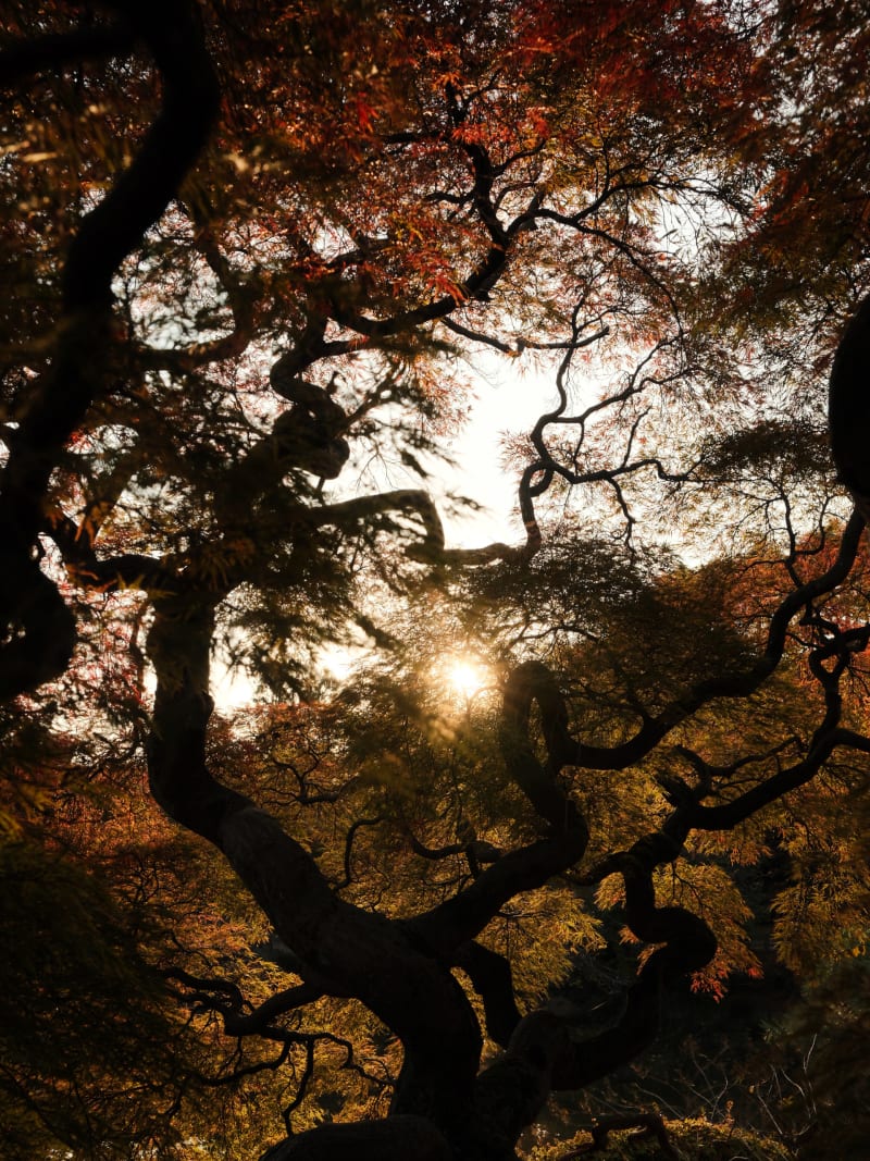 Tokyo — Japan travel photography — 19