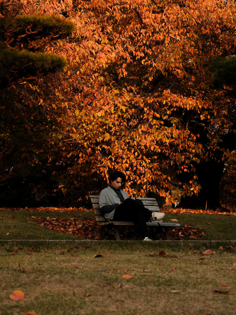 Tokyo — Japan travel photography — 20