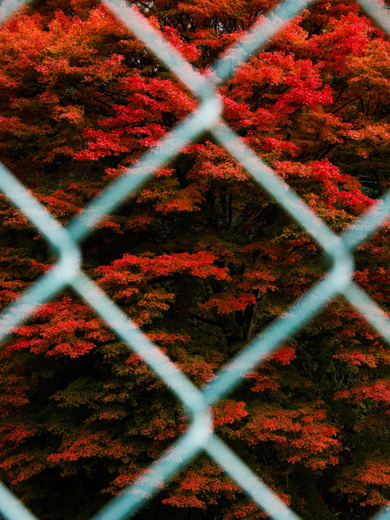 Mount Fuji & Hakone — Japan travel photography — 3
