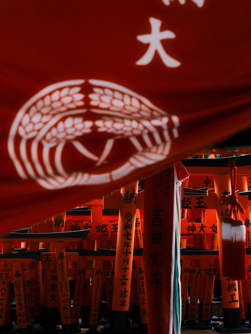 Kyoto — Japan travel photography — 8