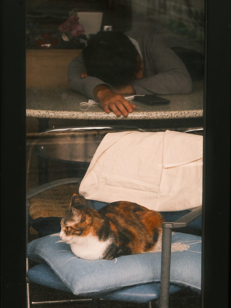 Kyoto — Japan travel photography — 16