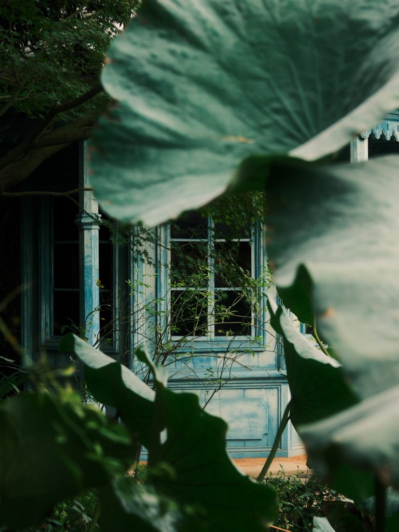 Osaka & Nara — Japan travel photography — 16