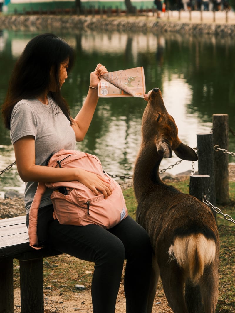 Osaka & Nara — Japan travel photography — 18