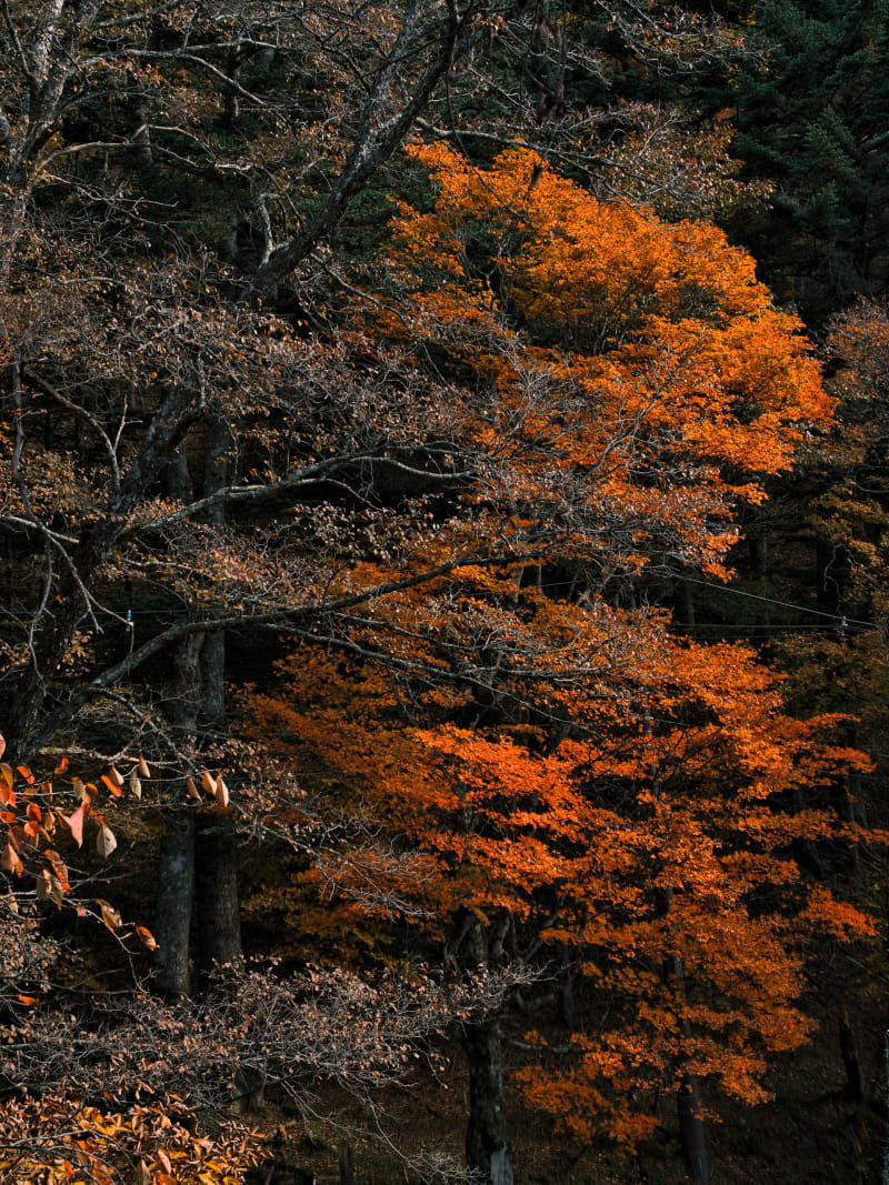 Central Japan — Japan travel photography — 4