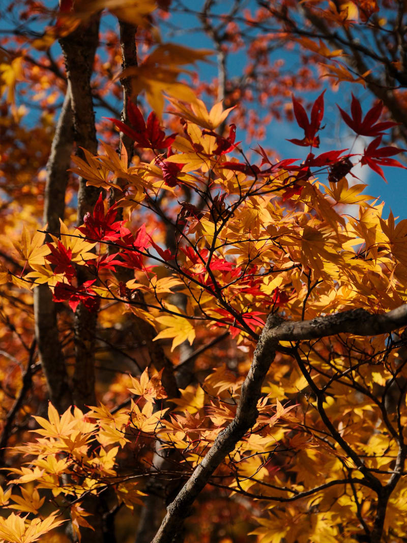 Central Japan — Japan travel photography — 5