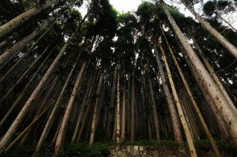 Central Japan — Japan travel photography — 8